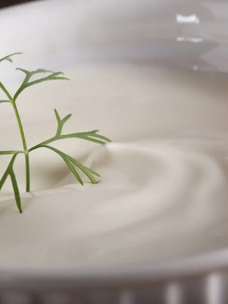 Besciamella fit vellutata preparata senza burro in un pentolino moderno, guarnita con una spolverata di noce moscata, stile RicetteFit.