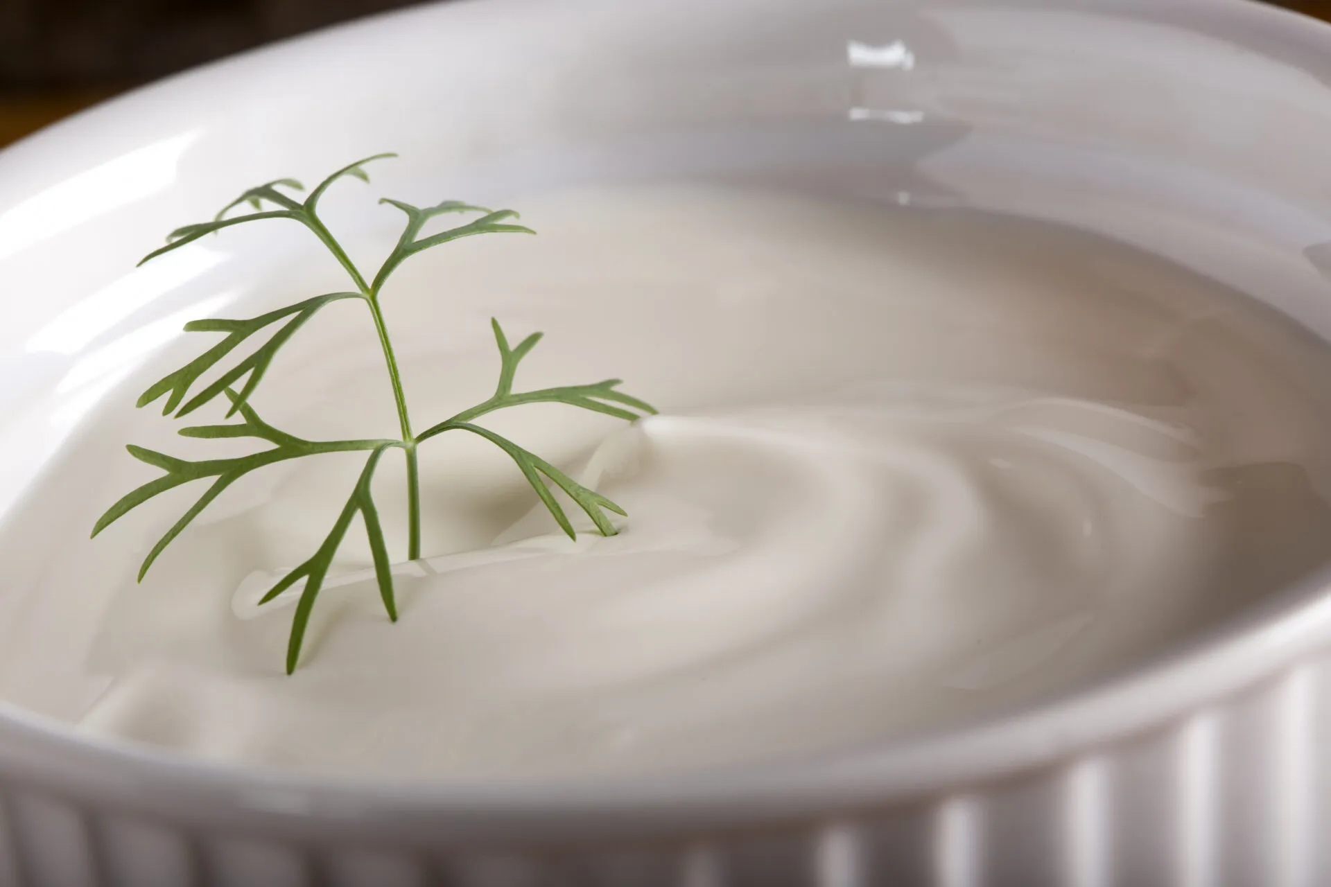 Besciamella Fit Leggera