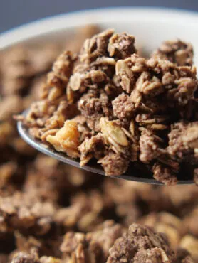 granola sacher light e proteica con cacao albicocca e cioccolato fondente
