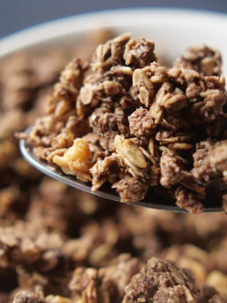 granola sacher light e proteica con cacao albicocca e cioccolato fondente