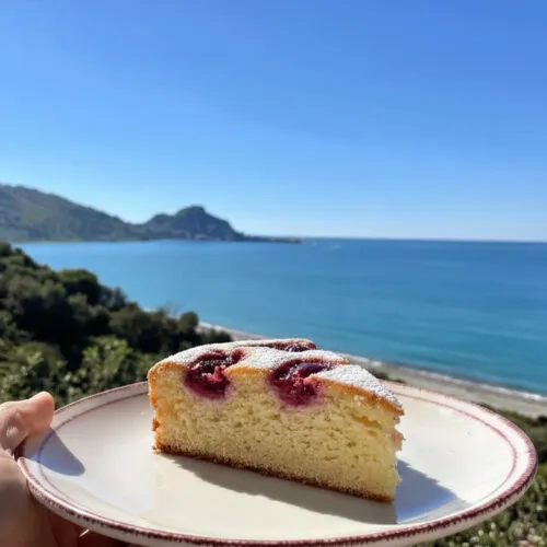 Torta marmorizzata fit alla marmellata di frutti rossi