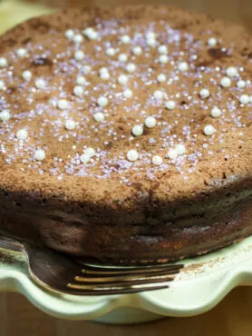 fetta di torta tenerina vegan senza grassi al cacao su piatto chiaro