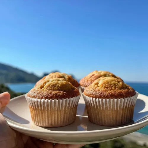 Muffin facili e veloci allo yogurt