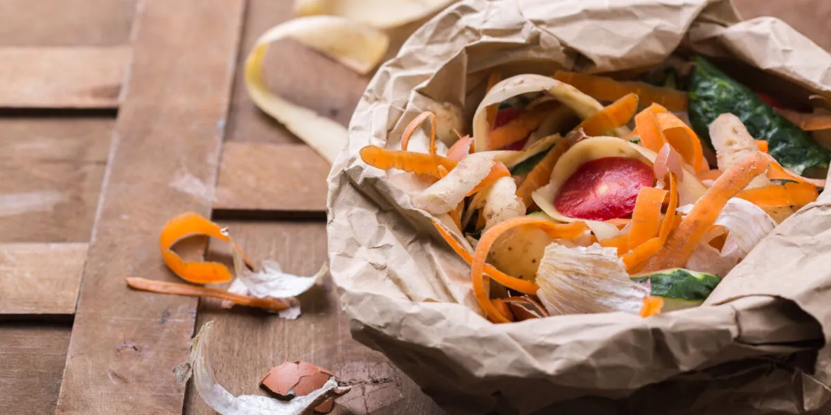 Scarti alimentari di verdure e gusci d’uovo raccolti in un sacchetto di carta, pronti per essere riutilizzati in cucina o trasformati in compost per ridurre gli sprechi alimentari.