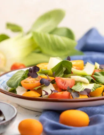 Insalata light estiva con finocchi, pomodorini colorati, agrumi e foglie verdi servita in un piatto su tavola chiara.