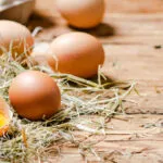 Uova fresche su un letto di paglia con un uovo aperto in primo piano, immagine dedicata ai miti e alla corretta conservazione delle uova.