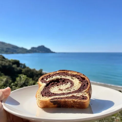 Babka brioche vegana light al cacao