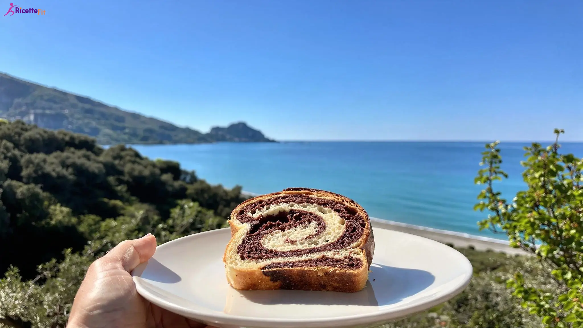 Babka brioche vegana light al cacao