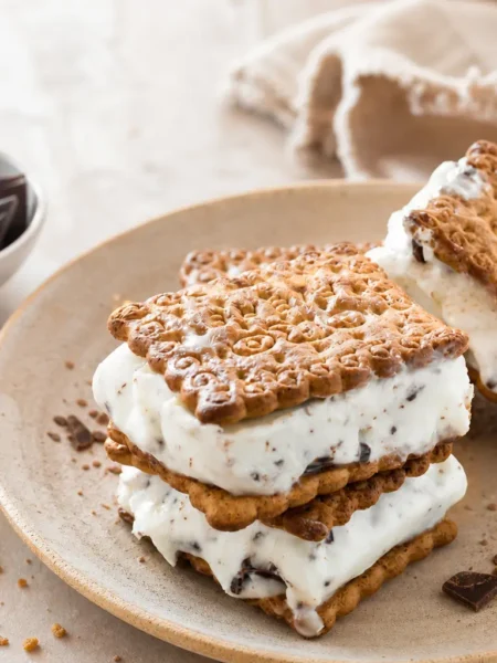 Gelato biscotto light con yogurt greco e scaglie di cioccolato fondente su piatto chiaro