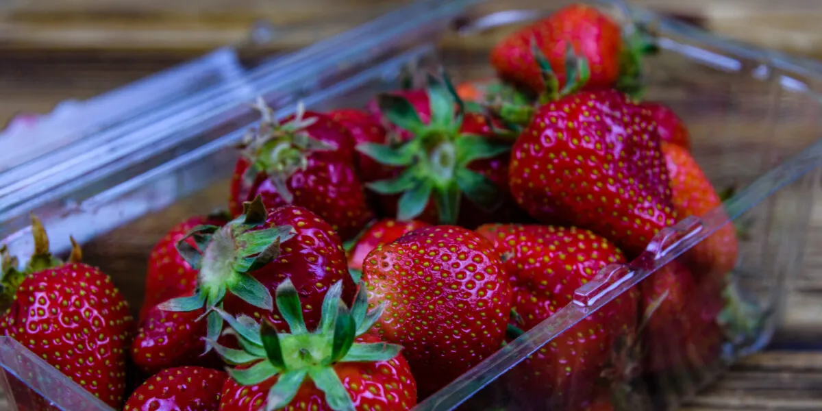 Fragole fresche in una vaschetta trasparente: guida pratica su come conservare le fragole in frigorifero e prevenire la formazione di muffa.