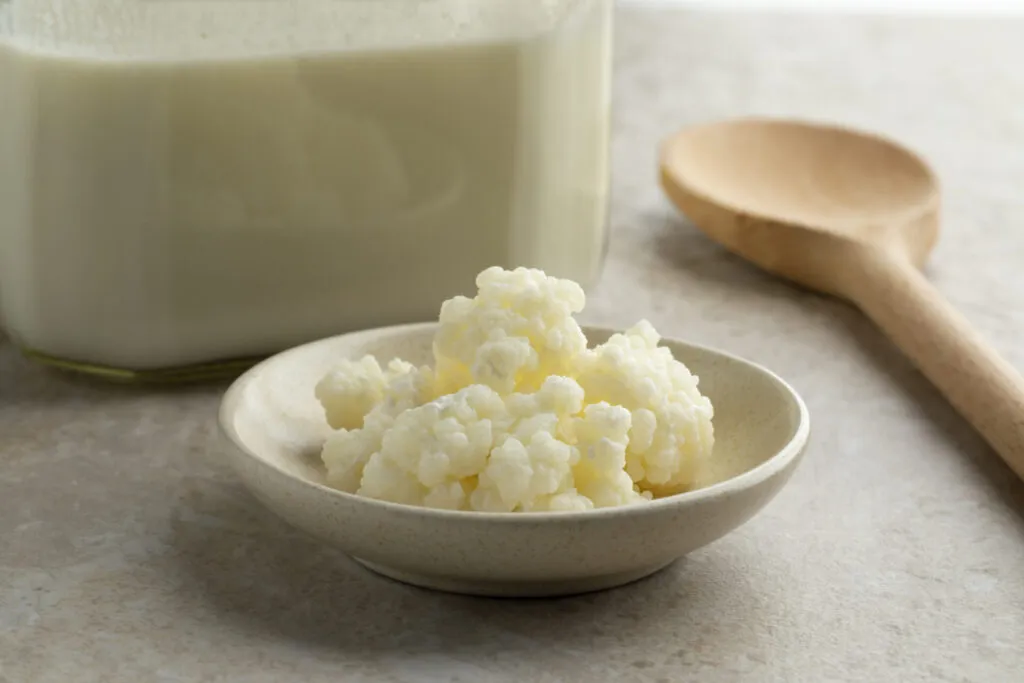 Granuli di kefir del latte accanto a un barattolo di kefir fermentato, coltura naturale ricca di lieviti e batteri per la lievitazione di impasti artigianali.