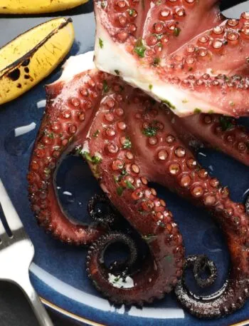 Polpo cotto con limone su piatto blu, confronto tra polpo fresco e polpo surgelato per gusto, tenerezza e qualità.