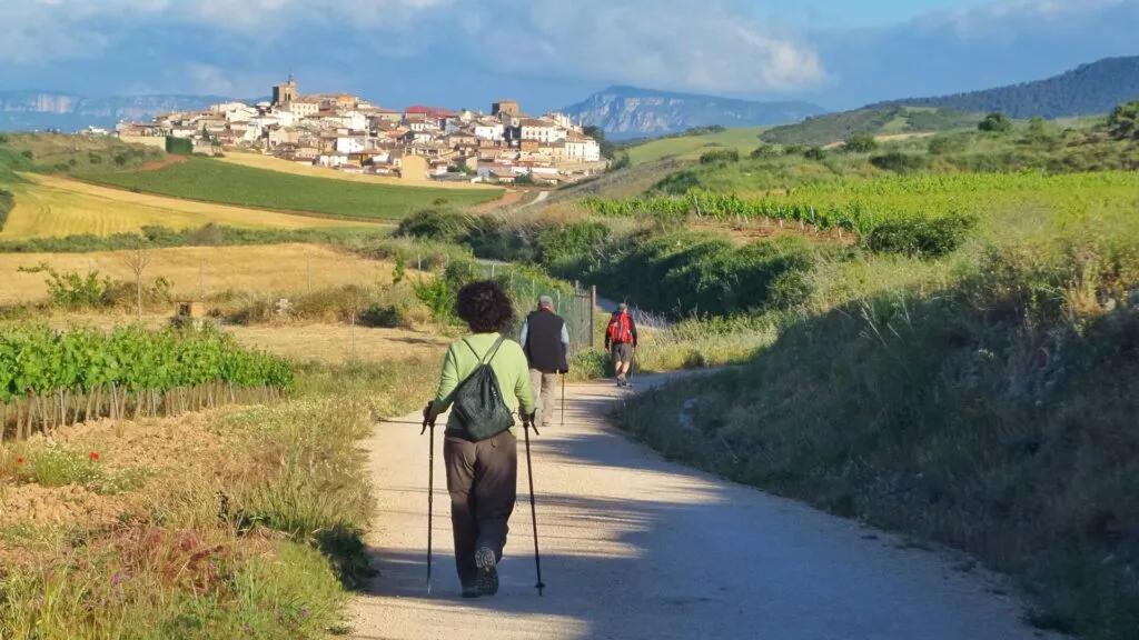 Persone che camminano lungo un sentiero di campagna, attività fisica consigliata per favorire il dimagrimento e superare lo stallo del peso.