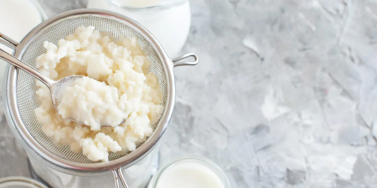 Grani di kefir di latte in un colino con cucchiaio, accanto a barattoli di latte su fondo chiaro.