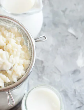 Grani di kefir di latte in un colino con cucchiaio, accanto a barattoli di latte su fondo chiaro.