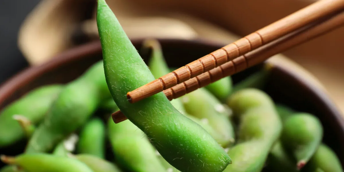 Edamame verdi nel baccello serviti con bacchette, i giovani fagioli di soia protagonisti della cucina fit