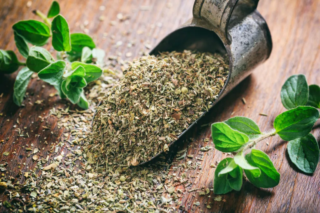 Origano fresco ed essiccato, erba aromatica mediterranea ideale per insaporire verdure, piatti al forno e ricette fit sane