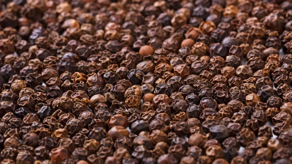 Pepe nero in grani, spezia aromatica indispensabile per insaporire verdure, proteine e ricette fit sane e gustose