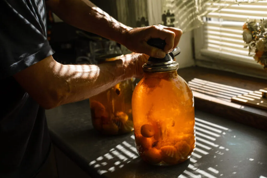Preparazione del Kombucha fatto in casa con SCOBY durante il processo di fermentazione naturale del tè