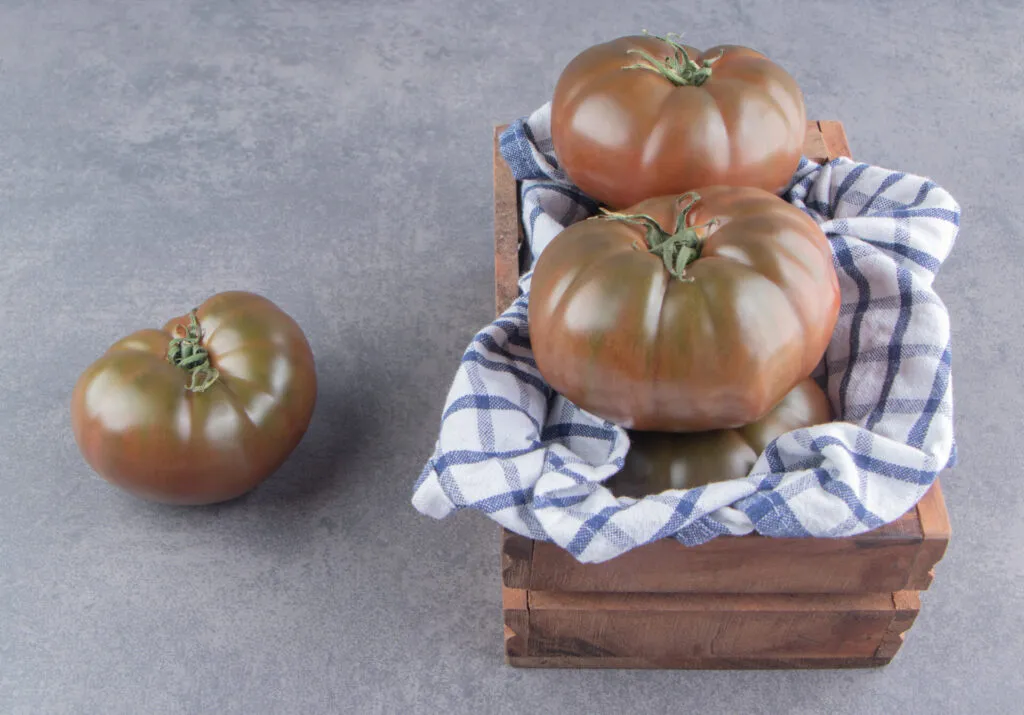 Pomodori neri di Crimea maturi in una cassetta di legno con canovaccio a quadri.