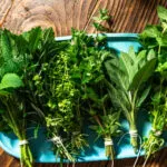 Mazzetti di erbe aromatiche fresche legati con spago su vassoio azzurro