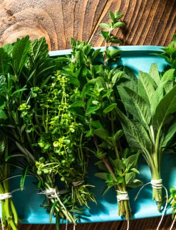 Mazzetti di erbe aromatiche fresche legati con spago su vassoio azzurro