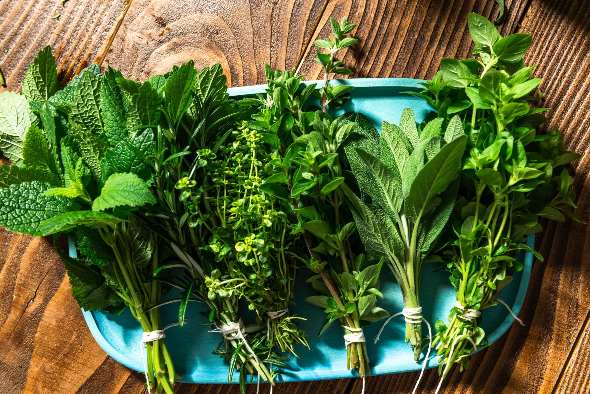 Mazzetti di erbe aromatiche fresche legati con spago su vassoio azzurro