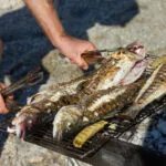 Pesci interi grigliati su una griglia a carbone