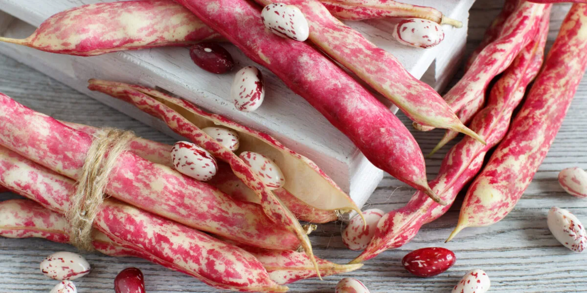 Fagioli borlotti freschi con baccelli rossi e crema disposti su un tavolo di legno.