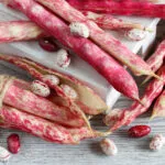 Fagioli borlotti freschi con baccelli rossi e crema disposti su un tavolo di legno.