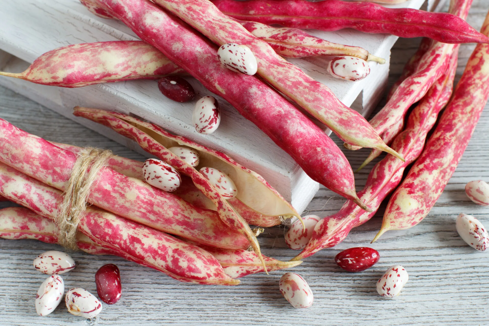 Fagioli borlotti freschi con baccelli rossi e crema disposti su un tavolo di legno.
