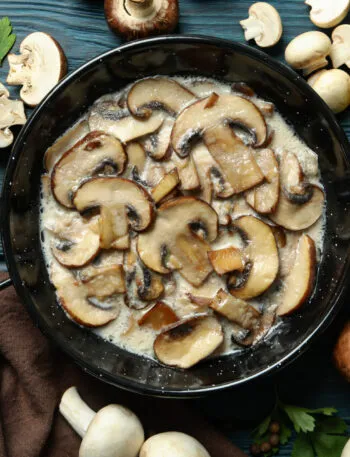 Funghi champignon affettati in padella con salsa cremosa, prezzemolo, olio e funghi freschi su tavolo di legno blu.