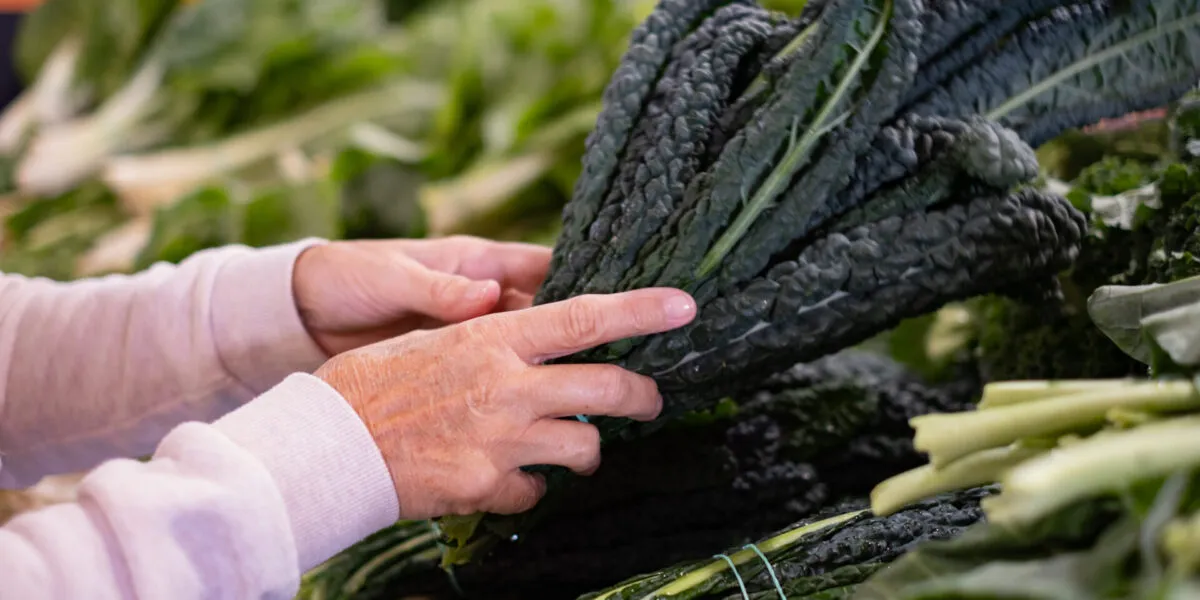 Mazzi di cavolo nero fresco su un banco del mercato
