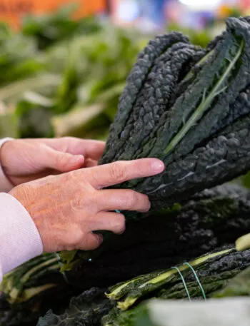 Mazzi di cavolo nero fresco su un banco del mercato