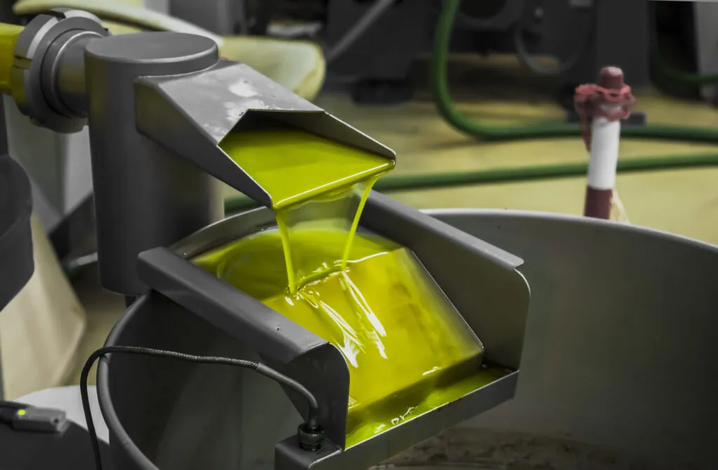 Olio extravergine appena estratto che scende da uno scivolo di acciaio inox in una vasca di raccolta all'interno di un frantoio