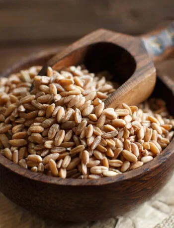 Farro perlato crudo in una ciotola di legno con paletta