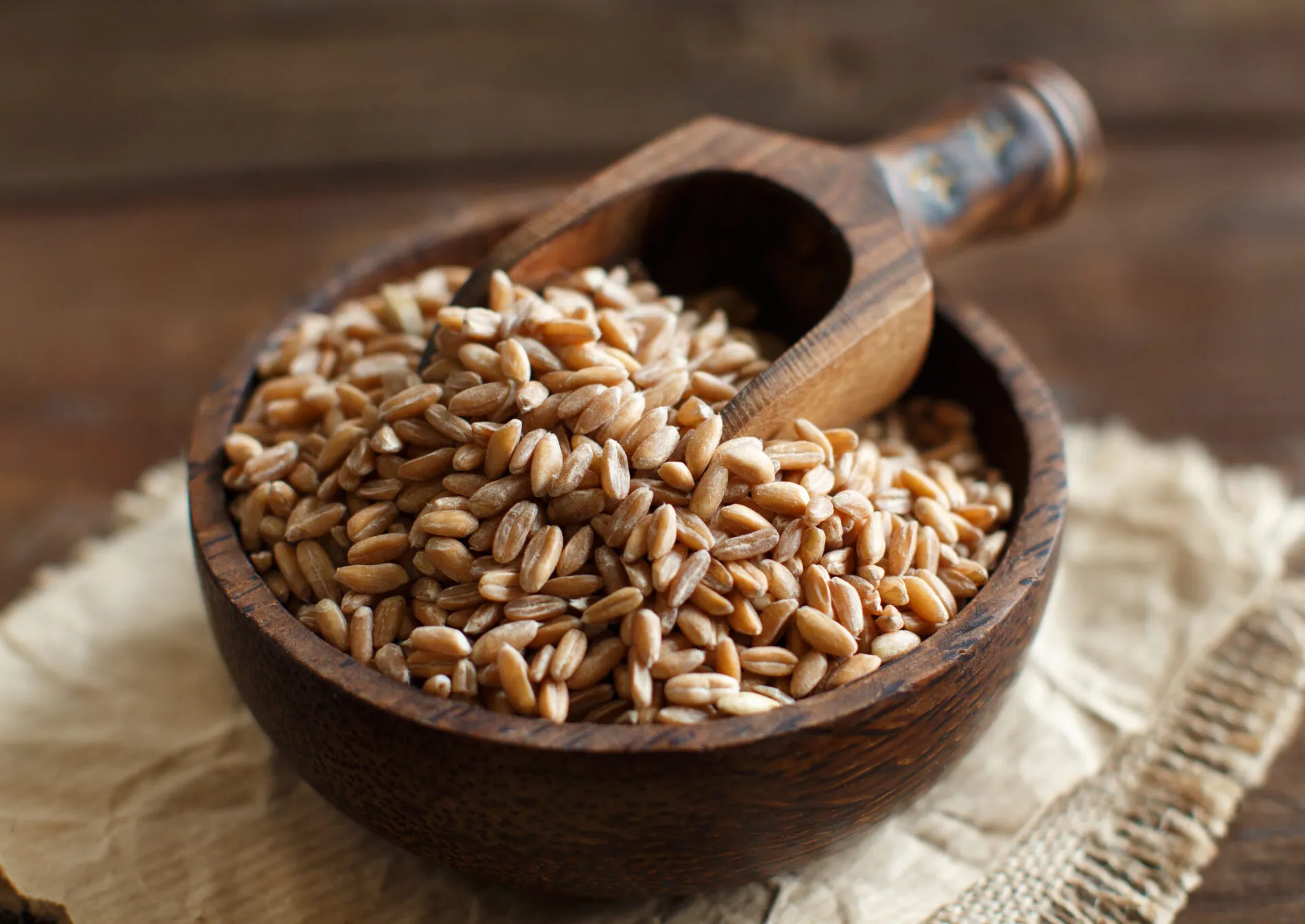 Farro perlato crudo in una ciotola di legno con paletta