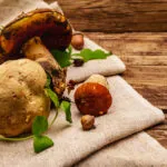 Funghi porcini freschi su un telo di lino con foglie e ghiande