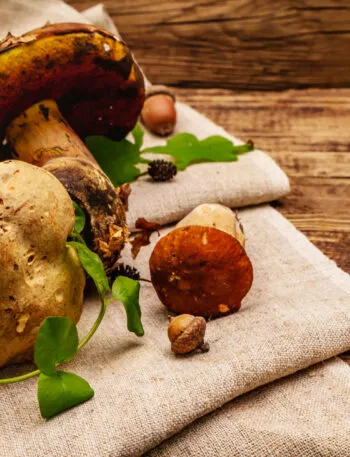 Funghi porcini freschi su un telo di lino con foglie e ghiande