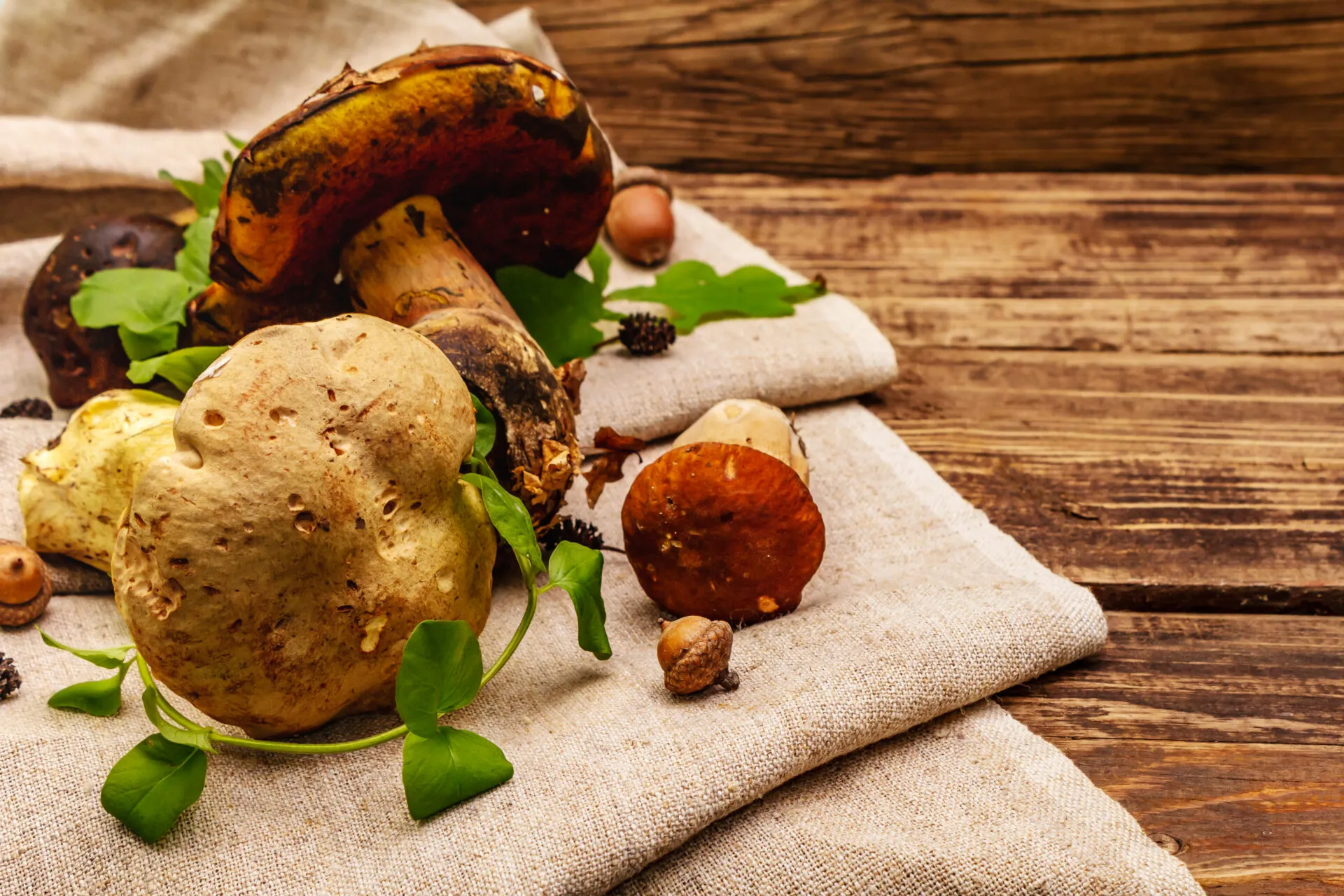 Funghi porcini freschi su un telo di lino con foglie e ghiande