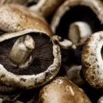 Funghi portobello ammucchiati, con uno in primo piano capovolto che mostra le lamelle marrone scuro sotto la cappella aperta