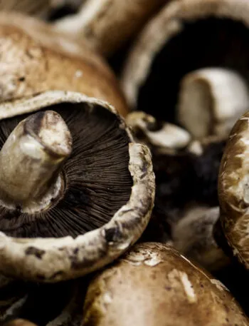 Funghi portobello ammucchiati, con uno in primo piano capovolto che mostra le lamelle marrone scuro sotto la cappella aperta