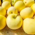 Molte mele Golden Delicious gialle disposte una accanto all'altra, riprese da vicino