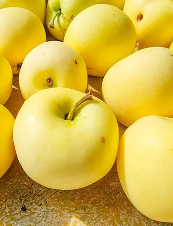 Molte mele Golden Delicious gialle disposte una accanto all'altra, riprese da vicino
