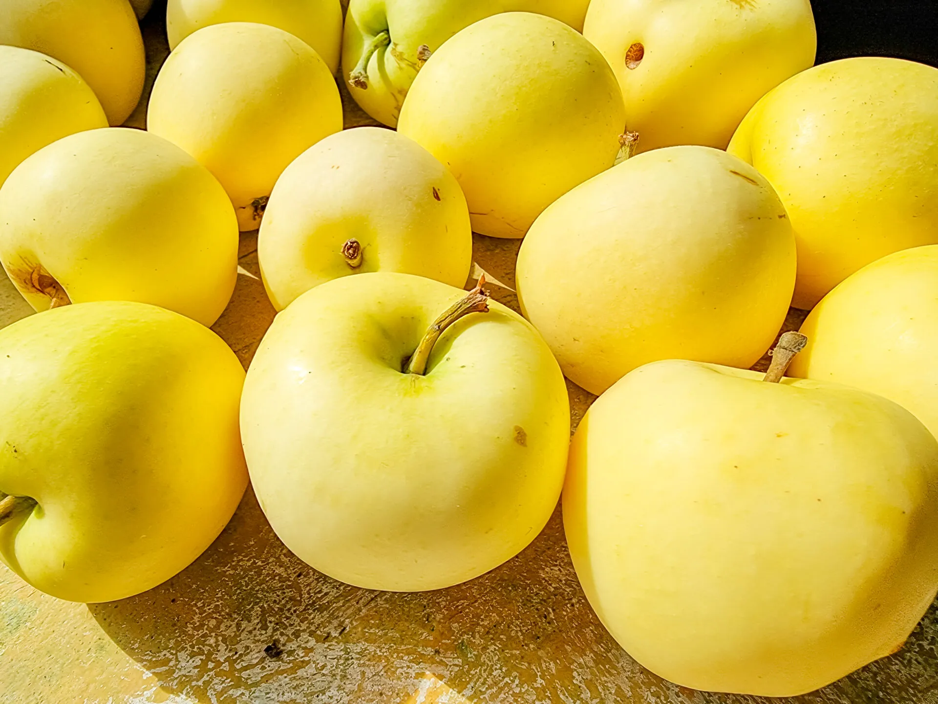 Molte mele Golden Delicious gialle disposte una accanto all'altra, riprese da vicino