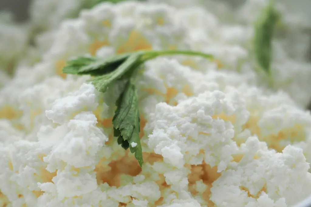 Ricotta fresca sbriciolata in primo piano con prezzemolo