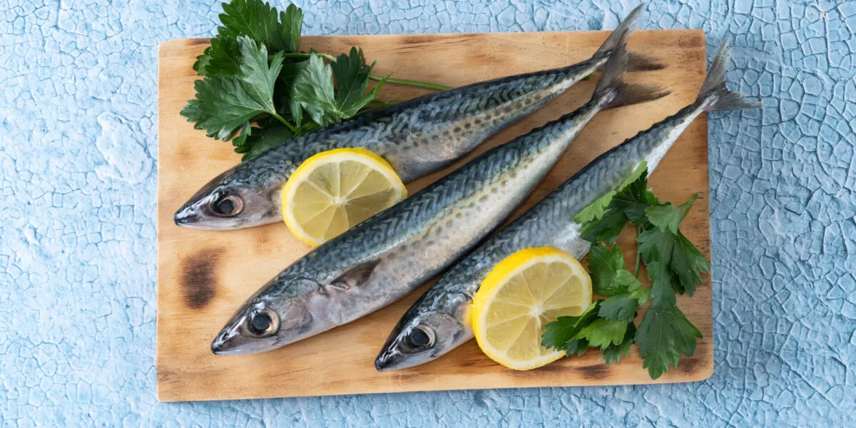 Tre sgombri freschi interi su un tagliere di legno, con le striature scure sul dorso, fette di limone e prezzemolo, su fondo azzurro