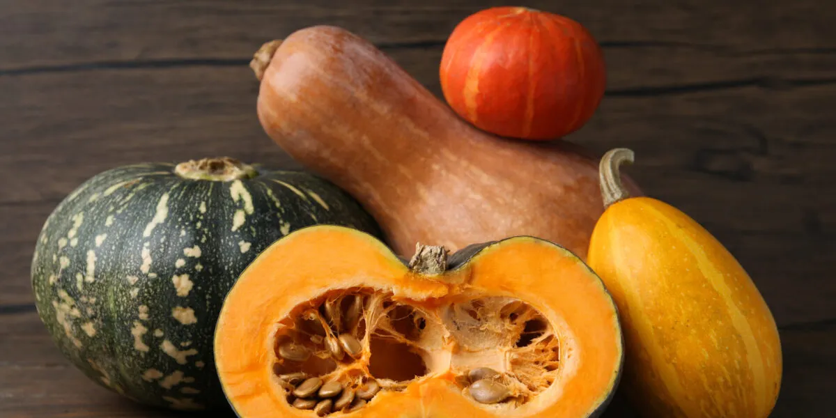 Diverse varietà di zucca a confronto, tonde e allungate, con una tagliata a metà che mostra la polpa arancione e i semi