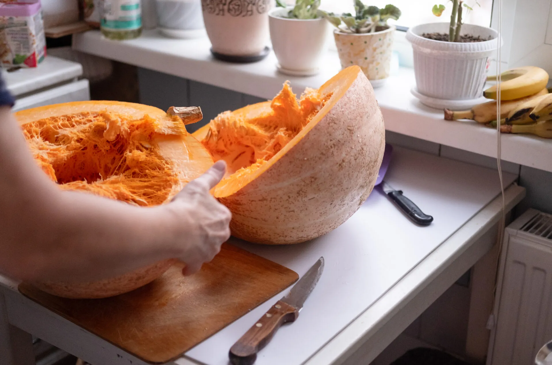 Grande zucca appena tagliata in due metà su un piano di cucina, con la polpa arancione filamentosa in vista e due coltelli appoggiati accanto
