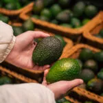 Due mani femminili reggono due avocado di colore diverso, uno verde scuro e uno verde chiaro, davanti al banco della frutta
